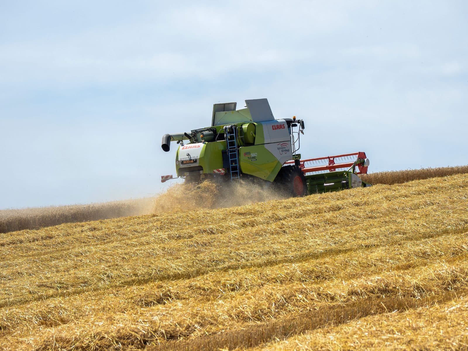 Lavoura em propriedade rural produtiva